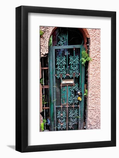 Old French Door, New Orleans, Louisiana, USA-Joe Restuccia III-Framed Photographic Print