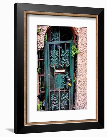 Old French Door, New Orleans, Louisiana, USA-Joe Restuccia III-Framed Photographic Print