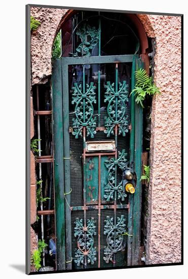 Old French Door, New Orleans, Louisiana, USA-Joe Restuccia III-Mounted Photographic Print