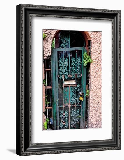 Old French Door, New Orleans, Louisiana, USA-Joe Restuccia III-Framed Photographic Print