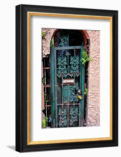 Old French Door, New Orleans, Louisiana, USA-Joe Restuccia III-Framed Photographic Print