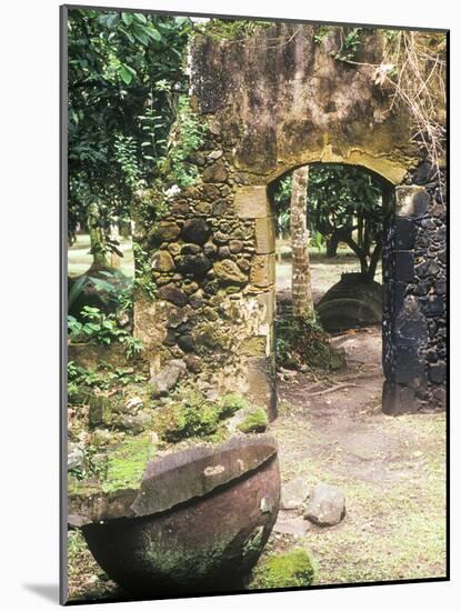 Old French Sugar Mill, Anse Chastanet Resort, Souffriere, St. Lucia, Caribbean-Greg Johnston-Mounted Photographic Print