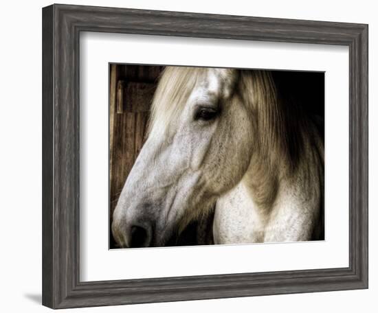 Old Friend-Stephen Arens-Framed Photographic Print