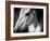 Old Friend-Stephen Arens-Framed Photographic Print