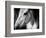 Old Friend-Stephen Arens-Framed Photographic Print