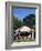 Old Gas Station at Roadside, Waco, Texas, USA-Walter Bibikow-Framed Photographic Print