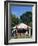 Old Gas Station at Roadside, Waco, Texas, USA-Walter Bibikow-Framed Photographic Print