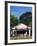 Old Gas Station at Roadside, Waco, Texas, USA-Walter Bibikow-Framed Photographic Print