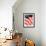 "Old Glory," Saturday Evening Post Cover, July 4, 1942-John Clymer-Framed Giclee Print displayed on a wall