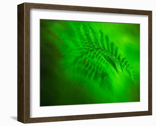 Old Glory-Ursula Abresch-Framed Photographic Print