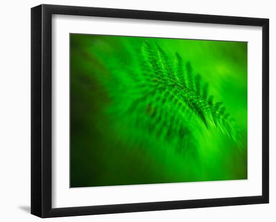 Old Glory-Ursula Abresch-Framed Photographic Print