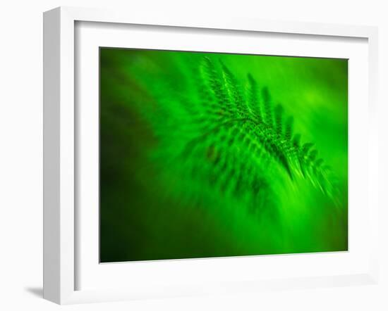 Old Glory-Ursula Abresch-Framed Photographic Print