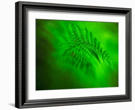 Old Glory-Ursula Abresch-Framed Photographic Print