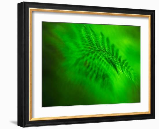 Old Glory-Ursula Abresch-Framed Photographic Print