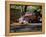 Old GMC Truck During Fall, Santa Barbara, California, USA-Savanah Stewart-Framed Premier Image Canvas