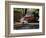 Old GMC Truck During Fall, Santa Barbara, California, USA-Savanah Stewart-Framed Photographic Print