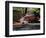 Old GMC Truck During Fall, Santa Barbara, California, USA-Savanah Stewart-Framed Photographic Print