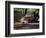 Old GMC Truck During Fall, Santa Barbara, California, USA-Savanah Stewart-Framed Photographic Print