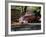 Old GMC Truck During Fall, Santa Barbara, California, USA-Savanah Stewart-Framed Photographic Print