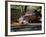 Old GMC Truck During Fall, Santa Barbara, California, USA-Savanah Stewart-Framed Photographic Print