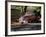 Old GMC Truck During Fall, Santa Barbara, California, USA-Savanah Stewart-Framed Photographic Print