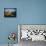Old Grist Mill-James Randklev-Framed Premier Image Canvas displayed on a wall