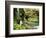 Old-Growth Rainforest, Graves Creek Tributary, Olympic National Park, Washington State, USA-Stuart Westmorland-Framed Photographic Print