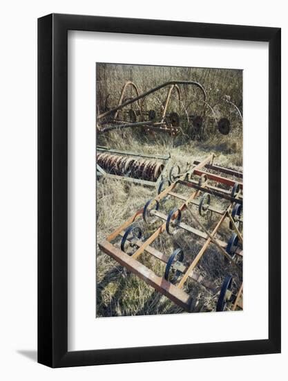 Old harrow and other agricultural equipment on a meadow in autumn and  sun-Axel Killian-Framed Photographic Print