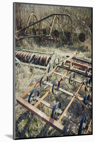 Old harrow and other agricultural equipment on a meadow in autumn and  sun-Axel Killian-Mounted Photographic Print