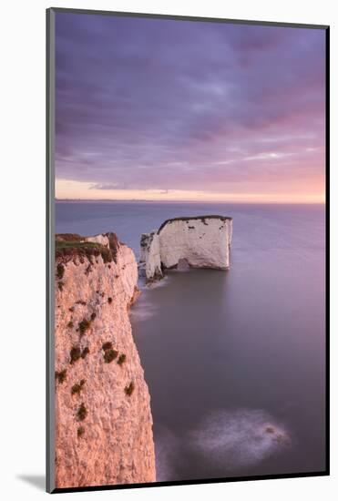 Old Harry Rocks at dawn, Studland, Dorset, UK-Ross Hoddinott-Mounted Photographic Print