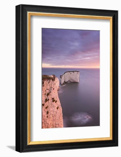 Old Harry Rocks at dawn, Studland, Dorset, UK-Ross Hoddinott-Framed Photographic Print