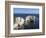 Old Harry Rocks at the Foreland (Handfast Point), Poole Harbour, Isle of Purbeck-Roy Rainford-Framed Photographic Print