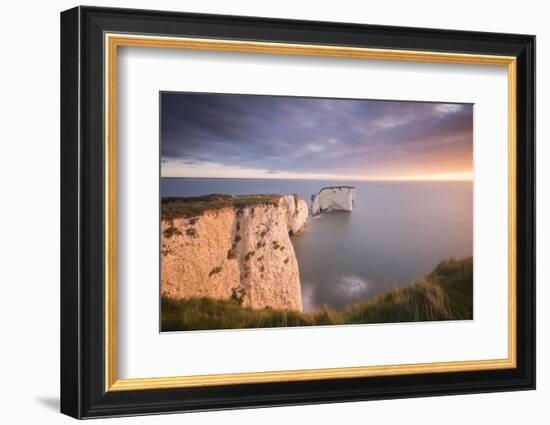 Old Harry Rocks, colourful sunrise, Studland, Dorset, UK-Ross Hoddinott-Framed Photographic Print