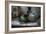 Old Hats-Nathan Wright-Framed Photographic Print