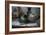 Old Hats-Nathan Wright-Framed Photographic Print