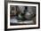 Old Hats-Nathan Wright-Framed Photographic Print
