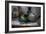 Old Hats-Nathan Wright-Framed Photographic Print