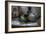 Old Hats-Nathan Wright-Framed Photographic Print