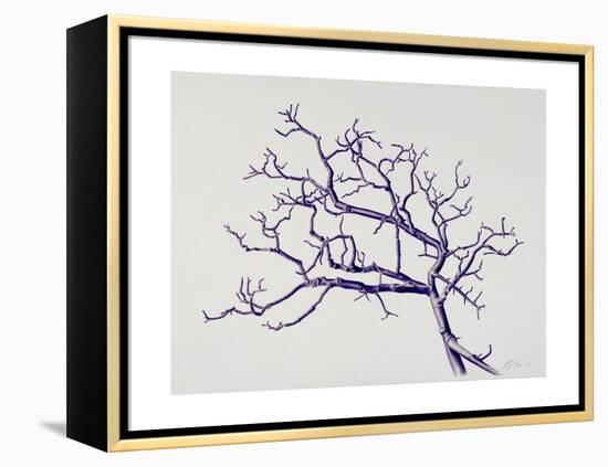 Old Hawthorn, 2000-Rebecca John-Framed Premier Image Canvas