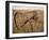 Old Hayrake & Teasle Near Preston, Cache Valley, Idaho, USA-Scott T^ Smith-Framed Photographic Print