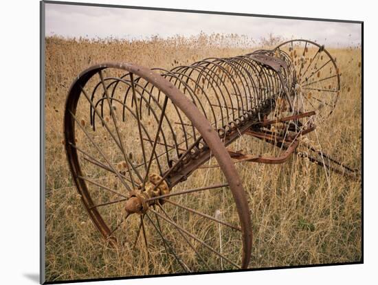 Old Hayrake & Teasle Near Preston, Cache Valley, Idaho, USA-Scott T^ Smith-Mounted Photographic Print