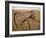 Old Hayrake & Teasle Near Preston, Cache Valley, Idaho, USA-Scott T^ Smith-Framed Photographic Print