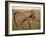 Old Hayrake & Teasle Near Preston, Cache Valley, Idaho, USA-Scott T^ Smith-Framed Photographic Print