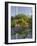 Old Hidalgo Pumphouse, Texas, USA-Larry Ditto-Framed Photographic Print