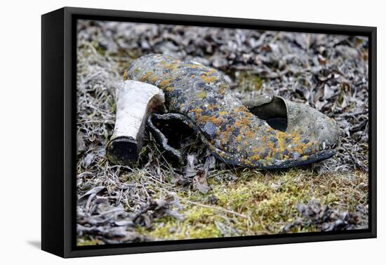 Old High Heeled Shoe Covered in Lichen, Wrangel Island, Far Eastern Russia. September 2010-Sergey Gorshkov-Framed Premier Image Canvas