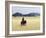 Old Himba Woman, Upright Despite Her Years, Rides Her Donkey Through Harsh Land-Nigel Pavitt-Framed Photographic Print