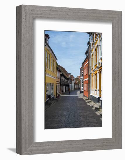 Old Historical Houses in Ribe, Denmark's Oldest Surviving City, Jutland, Denmark-Michael Runkel-Framed Photographic Print