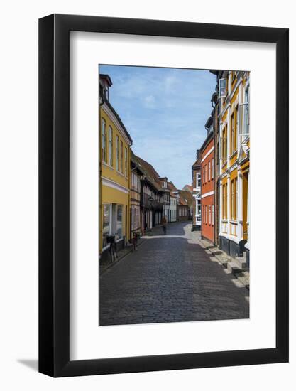 Old Historical Houses in Ribe, Denmark's Oldest Surviving City, Jutland, Denmark-Michael Runkel-Framed Photographic Print