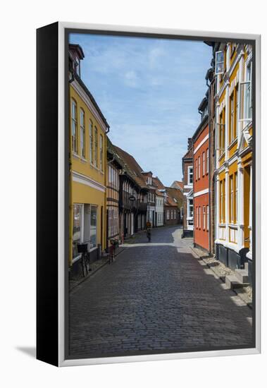 Old Historical Houses in Ribe, Denmark's Oldest Surviving City, Jutland, Denmark-Michael Runkel-Framed Premier Image Canvas