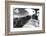 Old Hits-null-Framed Photographic Print